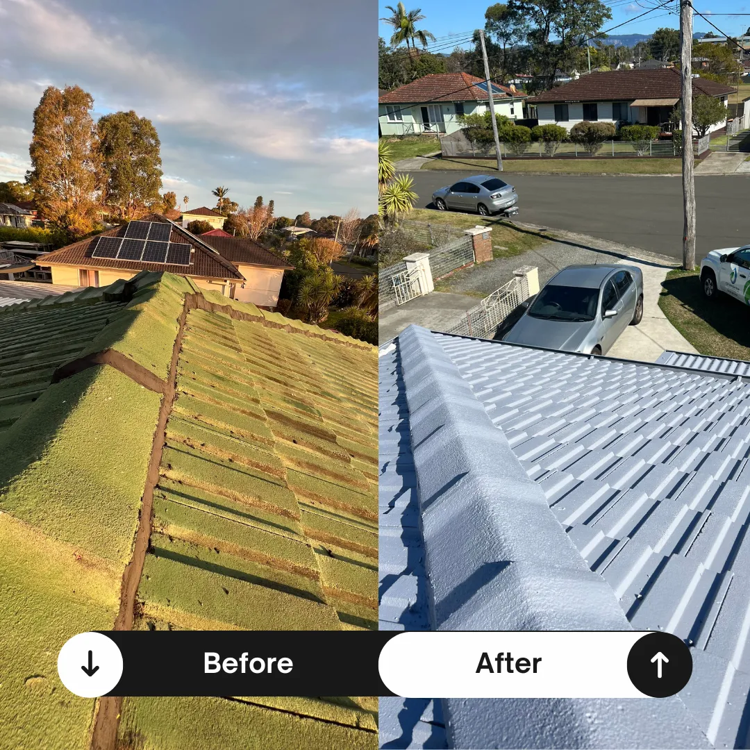 Before and after roof painting