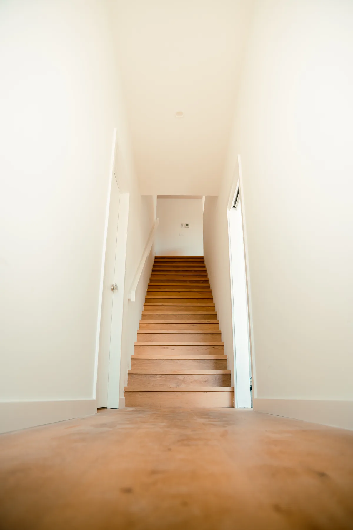 Interior painting project detail